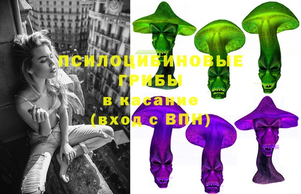 ПСИЛОЦИБИНОВЫЕ ГРИБЫ Новозыбков