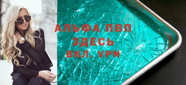 ПСИЛОЦИБИНОВЫЕ ГРИБЫ Новозыбков