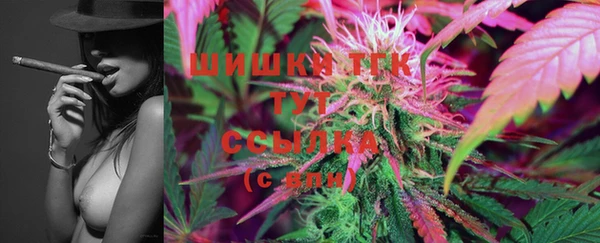 ПСИЛОЦИБИНОВЫЕ ГРИБЫ Новозыбков