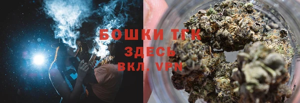 ПСИЛОЦИБИНОВЫЕ ГРИБЫ Новозыбков