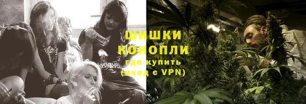 ПСИЛОЦИБИНОВЫЕ ГРИБЫ Новозыбков