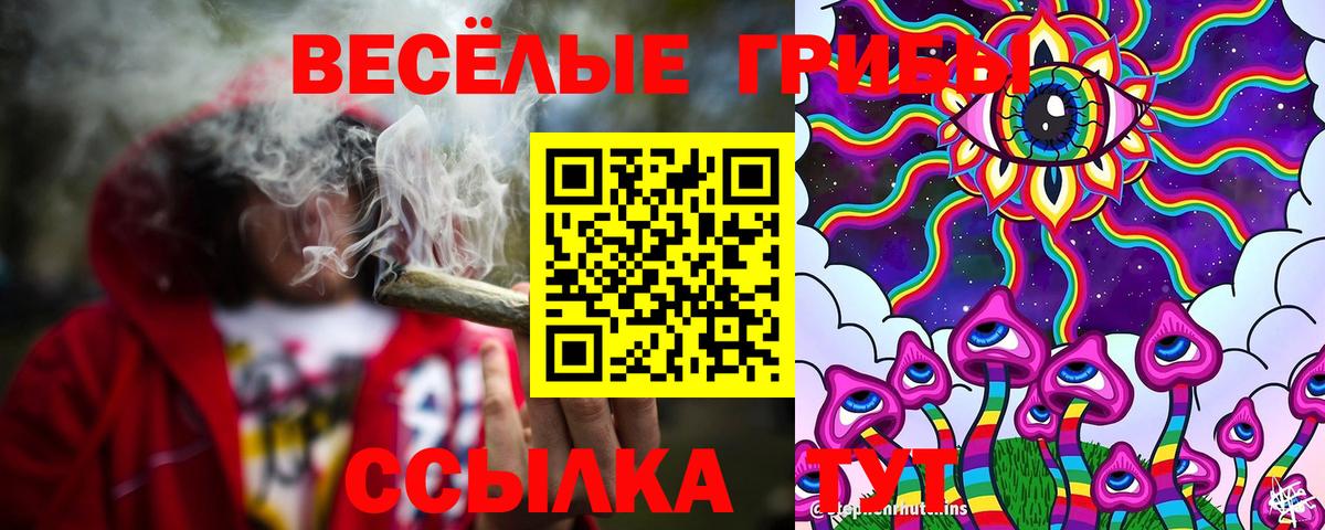 Галлюциногенные грибы Cubensis  дарнет шоп  Вход с VPN  Клинцы  Галлюциногенные грибы GOLDEN TEACHER 